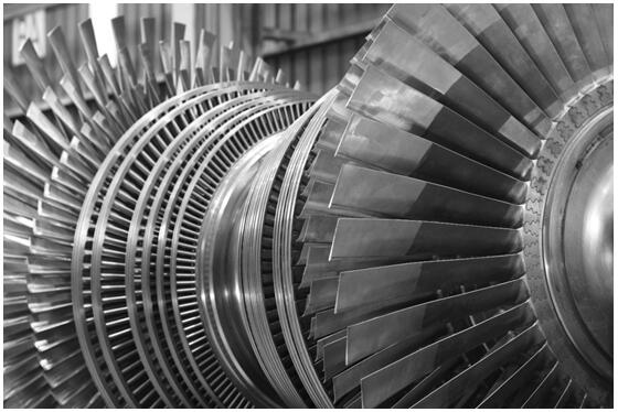 5ead32e864e10.jpg 02.jpg